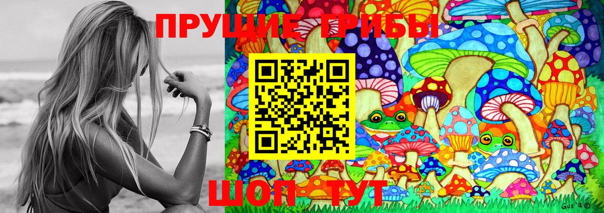 Псилоцибиновые грибы Psilocybine cubensis  Вход с VPN  Маркс 