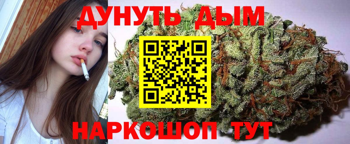 Конопля сатива Маркс